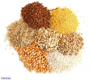 Grains