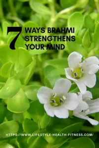 health-benefits-of-brahmi1